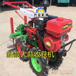 多功能小型农业收获机械 高效挖蒜机的创新与应用